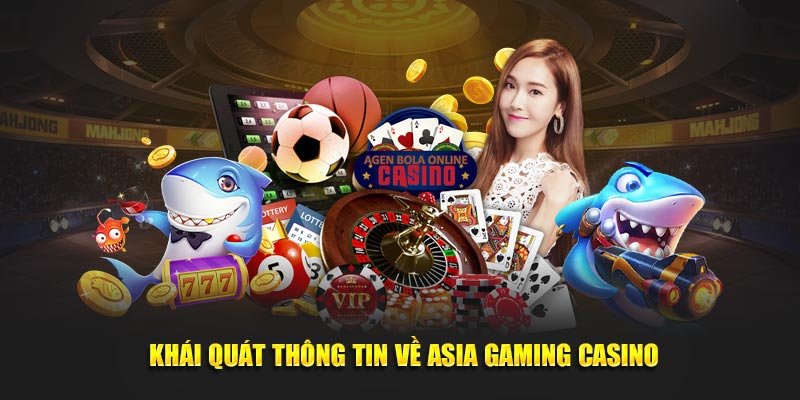 Khái quát thông tin về Asia Gaming Casino