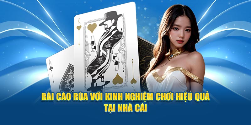 Bài cào rùa với kinh nghiệm chơi hiệu quả tại nhà cái