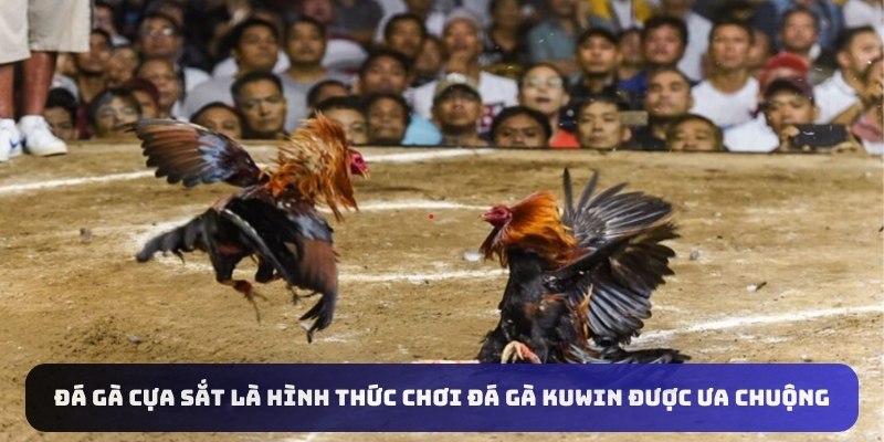 Đá gà cựa sắt là hình thức chơi đá gà KUWin được ưa chuộng