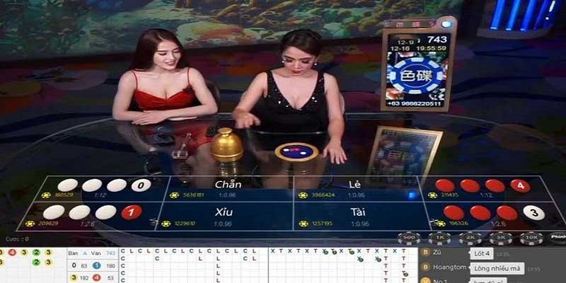 Cách thức vận hành bàn cược xóc đĩa live tại KUWin