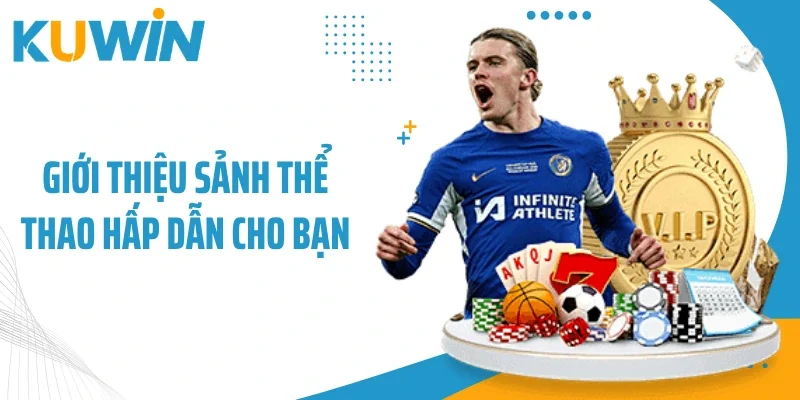 Giới thiệu sảnh thể thao hấp dẫn cho bạn