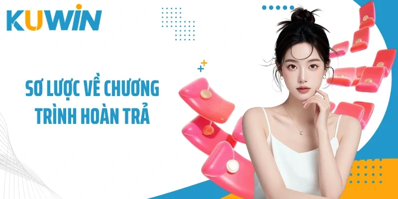 Sơ lược về chương trình hoàn trả